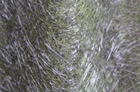 Gorrig fibreglass roof work